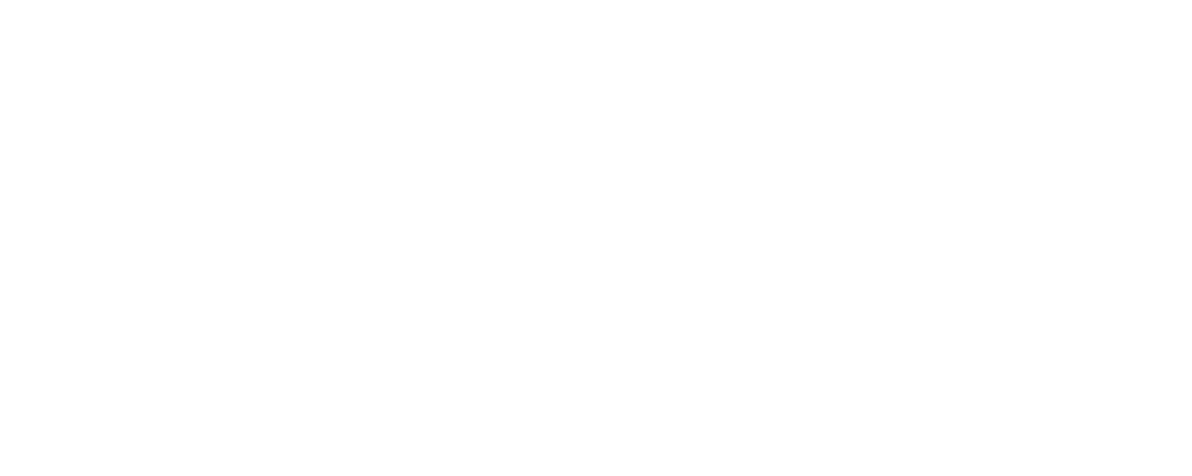 NeuroPi Logo